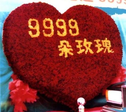 9999朵玫瑰-花海情乡鲜花网-全国送花送蛋糕-188888.cn