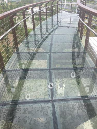 溧阳新建的樱花公园 真不错啊 有玻璃栈道啊