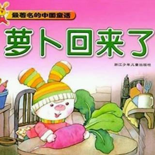萝卜回来了——陶老师