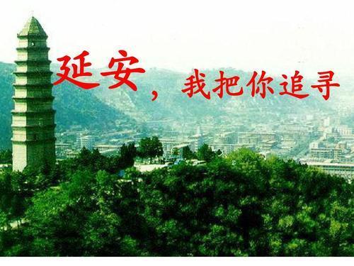 四年级上《延安,我把你追寻》:理解诗中重点语句,领会