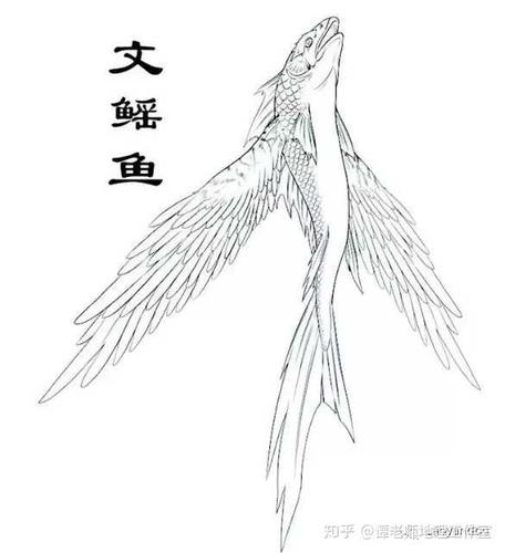《山海经》译文:水中有很多文鳐鱼,形状像普通的鲤鱼,长着鱼一样的