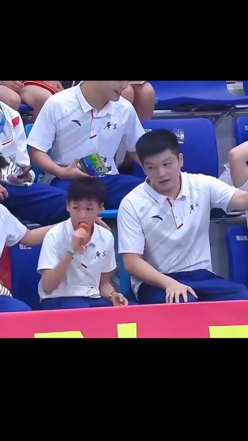 全红婵和樊振东场边助威全运会