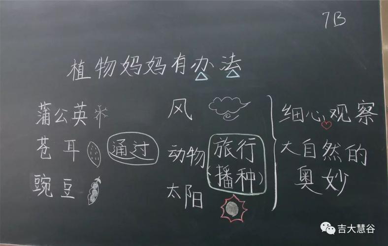 本次教师技能板书大赛不仅增强了我校教师写好粉笔字的意识,提高了