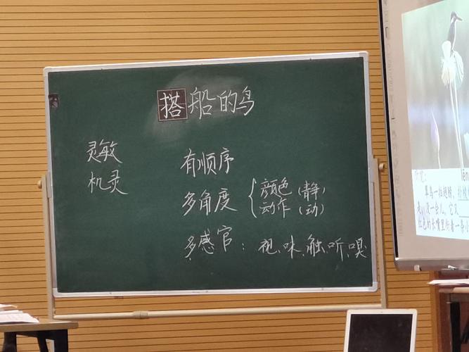 20年育英之秋 三上《搭船的鸟》(王焕霞)