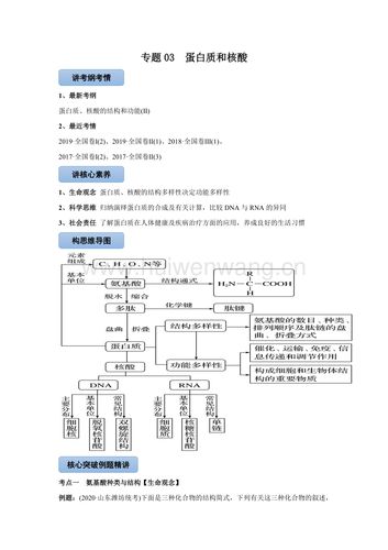 2020-2021学年高三生物一轮复习专题03 蛋白质和核酸