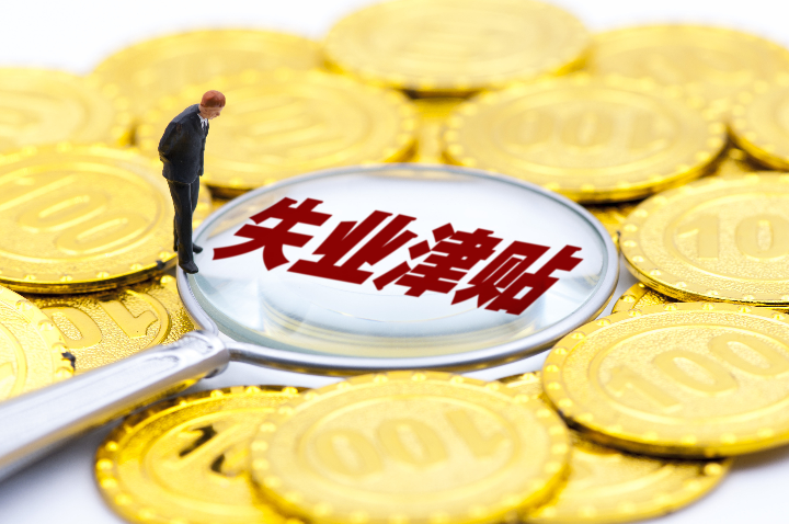 发放失业补助金6.63亿元!河北用"小险种"托起"大民生"