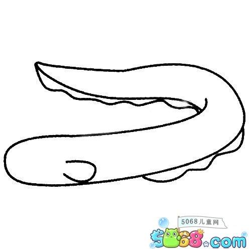 会放电的鱼简笔画图片-电鳗(2)