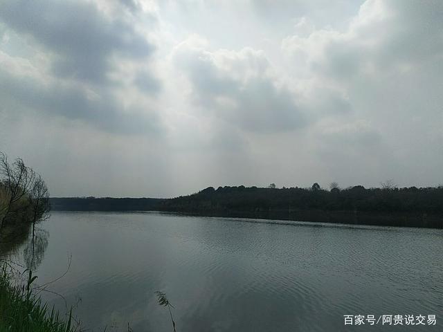 三月的成都青龙湖湿地公园美到了极致