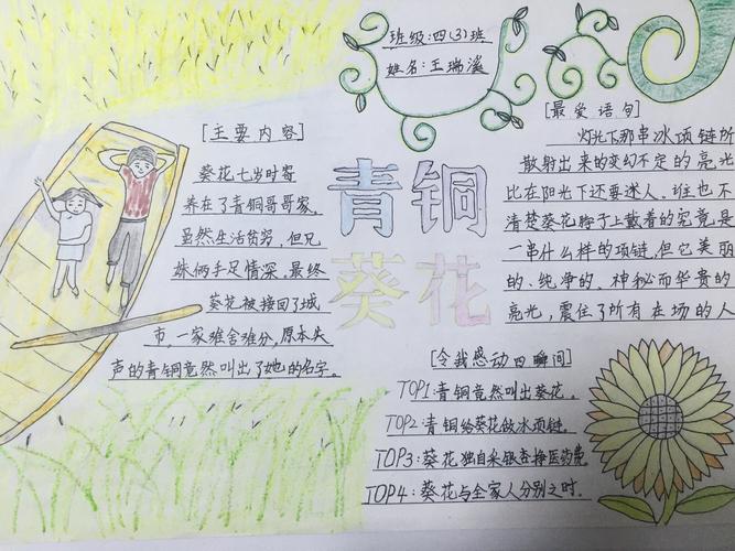 好书推荐——青铜葵花