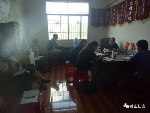 扫黑除恶英山软弱涣散党组织整顿县级领导在行动
