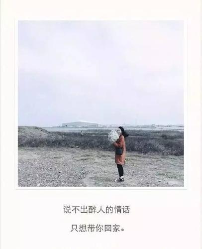 说不出醉人的情话,只想带你回家.