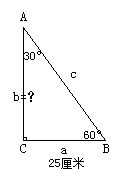 直角三角形中,30度角对应的边长是25厘米,求60度角对应的边长?