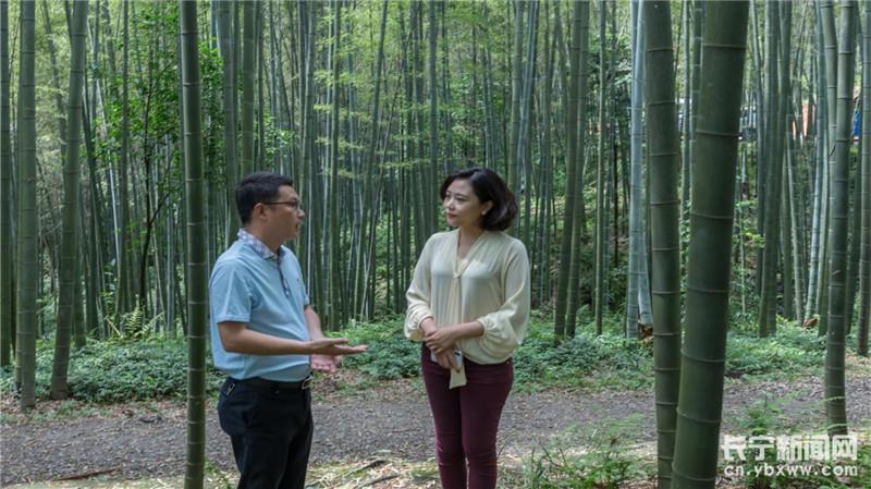 侯娜在蜀南竹海采访林业局局长郑仁红