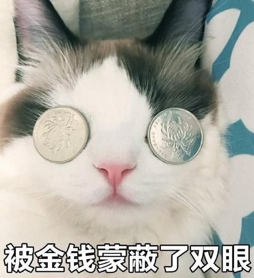 被金钱蒙蔽了双眼