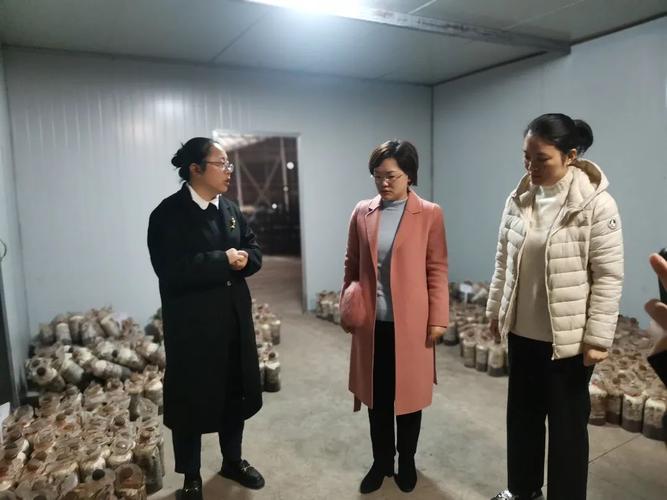 衢州市妇联副主席齐正兰一行来我区调研妇联工作