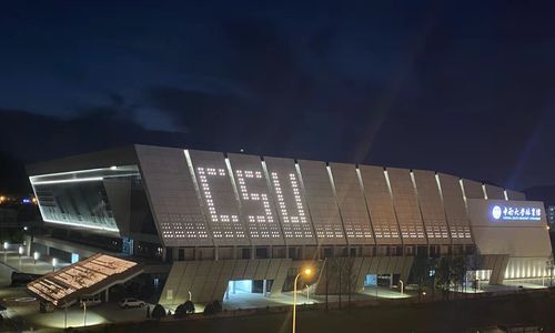 中南大学新校区体育馆含游泳馆项目通过竣工验收