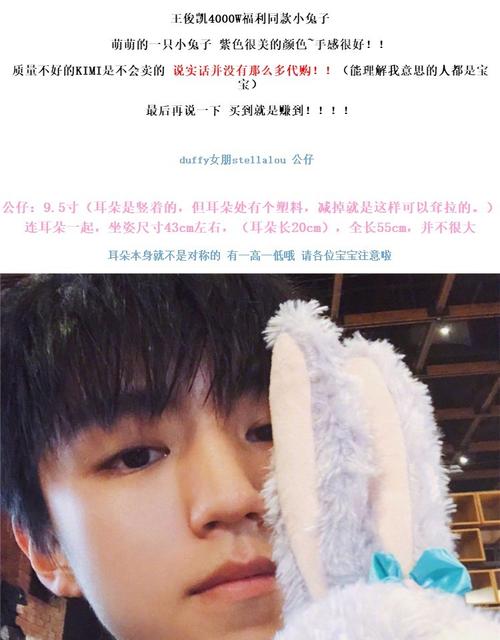 王俊凯同款日本梦幻紫少女心软萌可爱芭蕾兔玩偶公仔礼物毛绒玩具_7折
