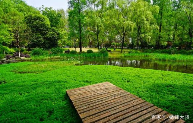 杭州最美的10个公园大比拼,免费又好玩,你去过几个?