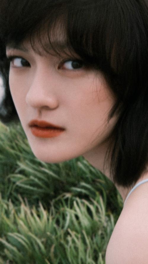 文淇