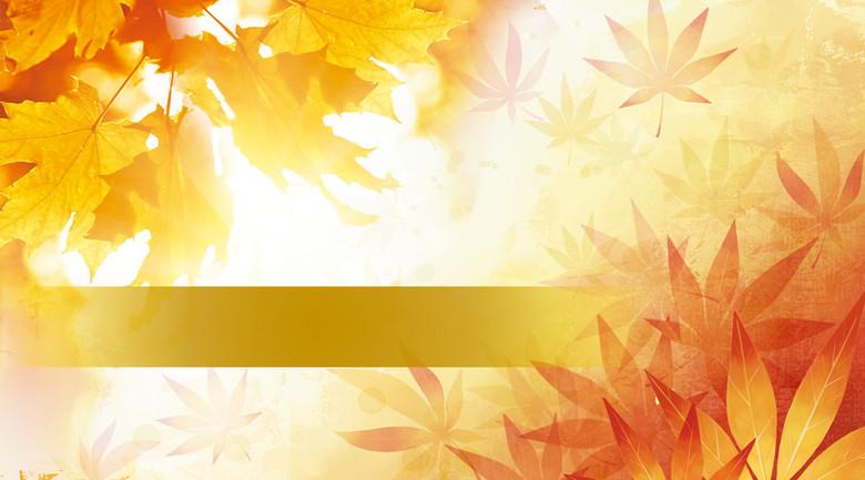 金色枫叶海报背景模板