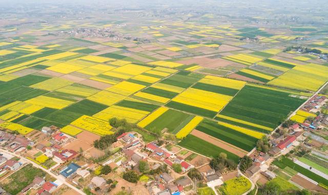 湖北当阳:农业复产正当时