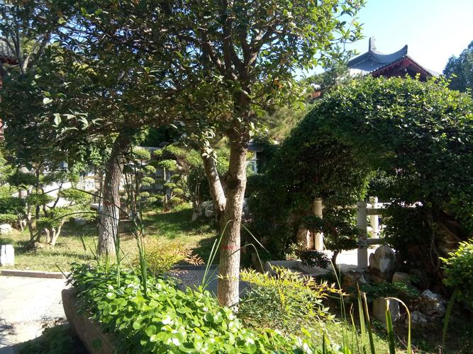 甘棠园