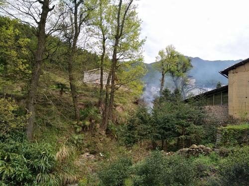 武夷山下__大坞村