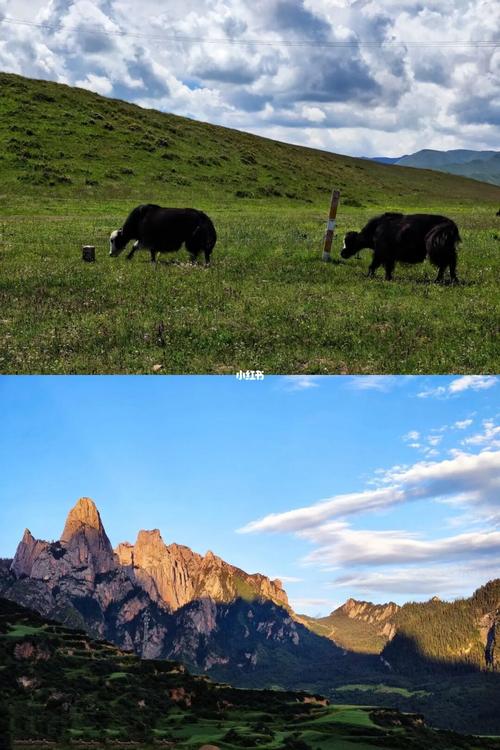 甘肃的大草原_景点_草原_旅行_甘肃旅游_出行_人文风光展示_城镇乡村