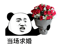 当场求婚 - 熊猫头求婚表情包系列_撩妹撩汉表情