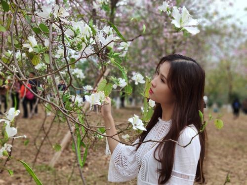 华农樱花季,手机编辑教你拍樱花人像美美哒!