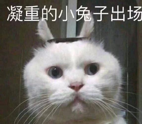 微信头像频繁更换这种人啥性格?