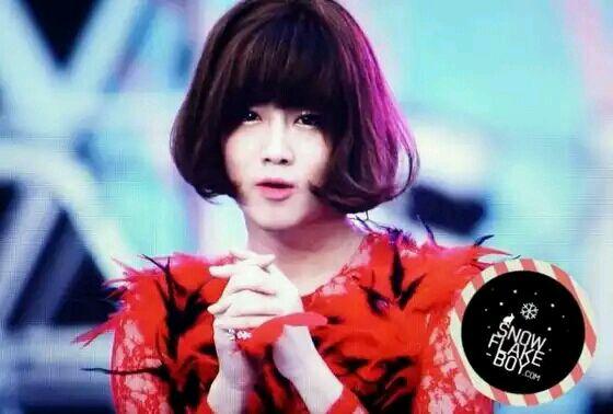 以下为粉丝ps 金俊勉 白贤 我是exo-l,请多多支持exo,谢谢!