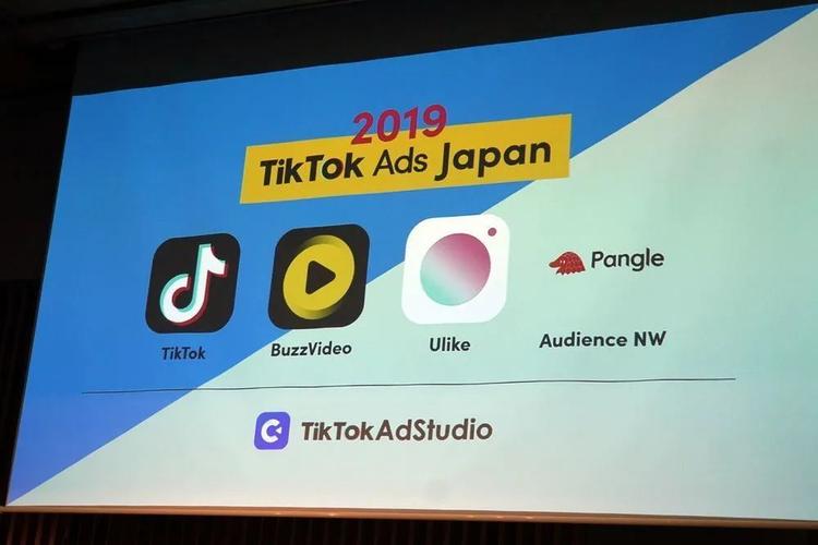 tiktok ads 2019 年度营销活动画面