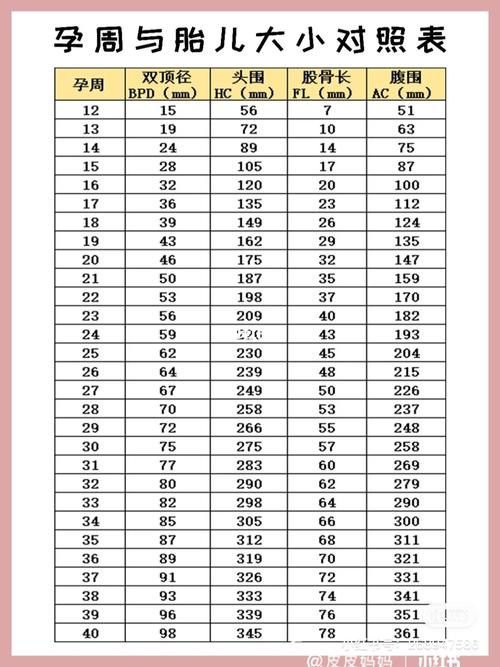 32周773 双顶径87_双顶径_胎儿_双顶径偏大_母婴_孕