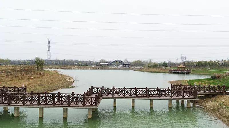 春天,界首的这些美景犹如仙境_湿地