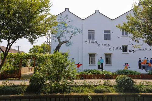 泖港镇居民,泖港需要做好哪些民生实事,热忱欢迎你积极参与