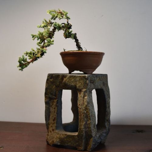 盆景台随形几架石头镂空底座悬崖摆件桌面花架花卉根雕底座可挖.