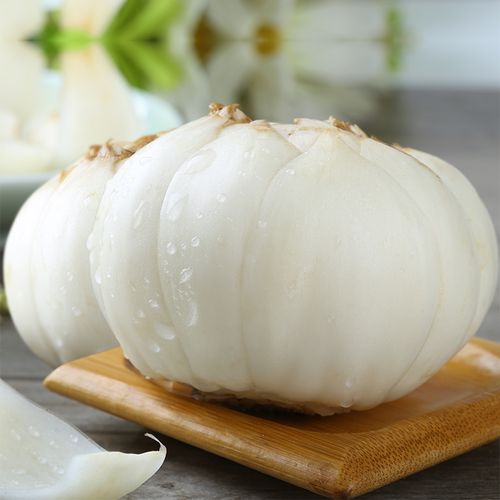 航空包邮 甘肃兰州新鲜甜百合500克农家食用特级特产非百合干