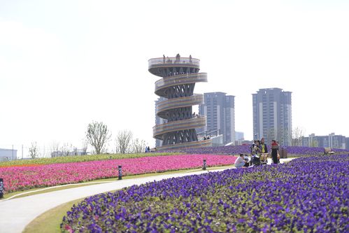 合肥市瑶海区网红打卡点,青年创意田园,你来过吗