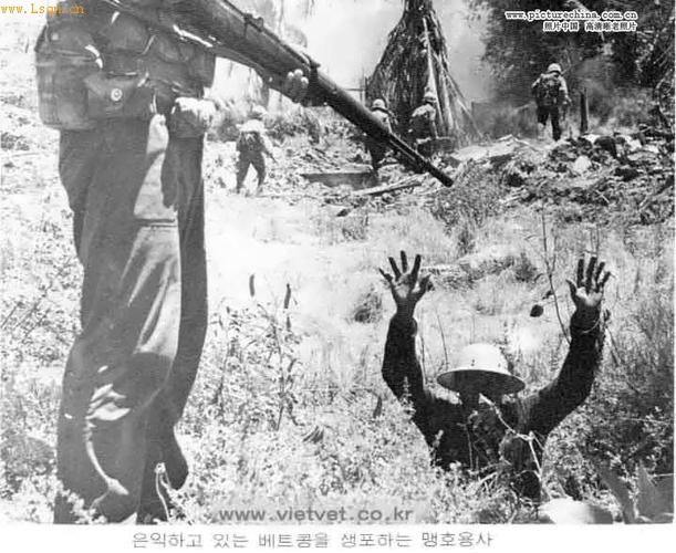 点击图片进入下一页韩国从越战开始就向越南派出派青龙,白马[注: 马