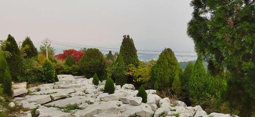 原山森林公园一日游