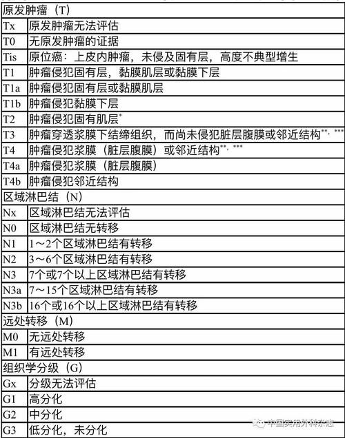 附录一:ajcc/uicc胃癌tnm分期(第八版)