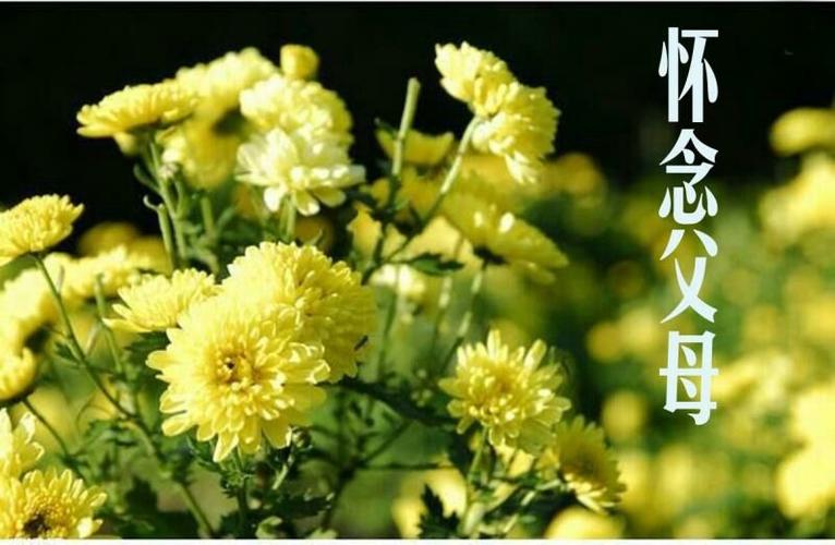 《怀念父母》—2020清明节