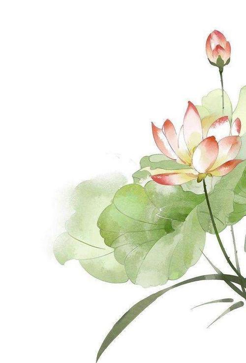 唯美手绘荷花壁纸 共赏夏日荷花的意境之美