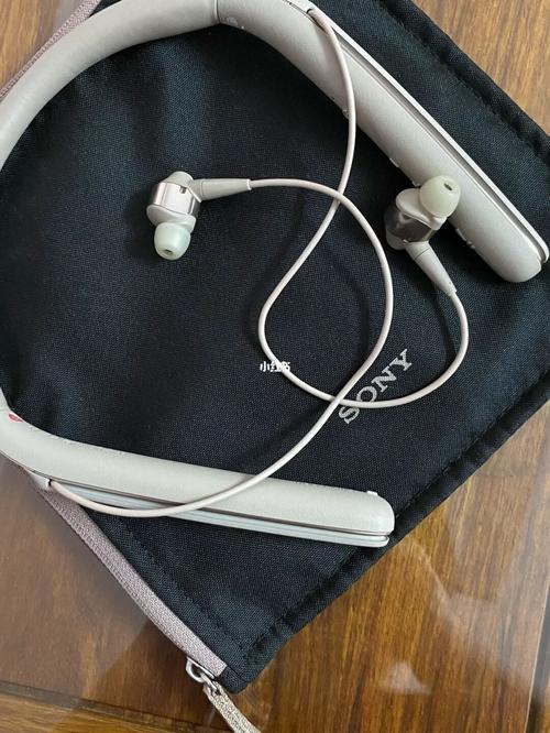 新入了devialet 耳机_耳机_索尼怎么样_音乐_耳环_蓝牙耳机_gemini