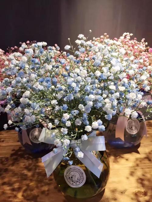 满天星不同颜色的花语是什么,有什么寓意