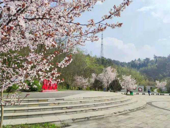 送上毕节城区最全赏花点_公园
