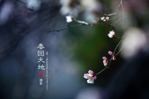 春回大地