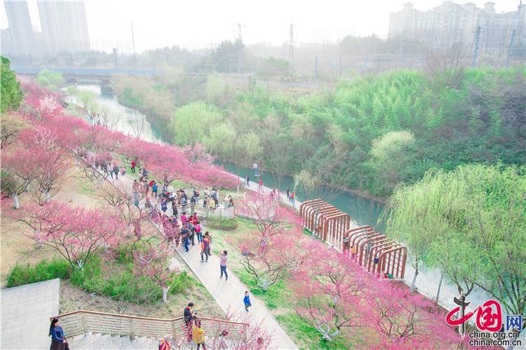 合肥匡河公园梅花盛开踏青赏梅正当时