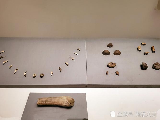 石器等装饰品已经成为山顶洞人的随葬物品